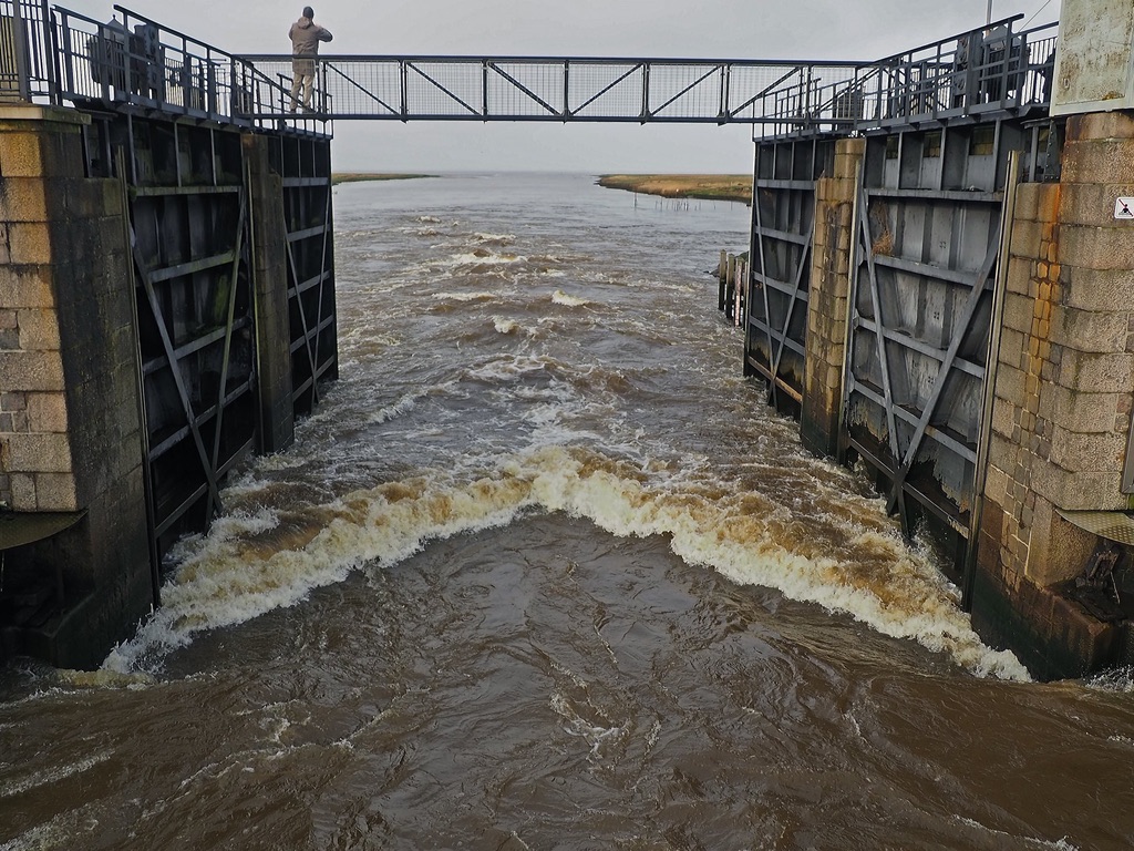Stacks Image 47